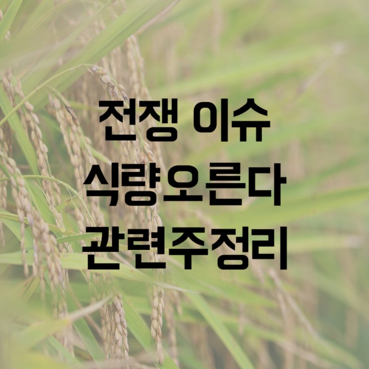  다시 오르는 식량 관련주, 종목과 이슈의 지속성은 얼마나 갈까