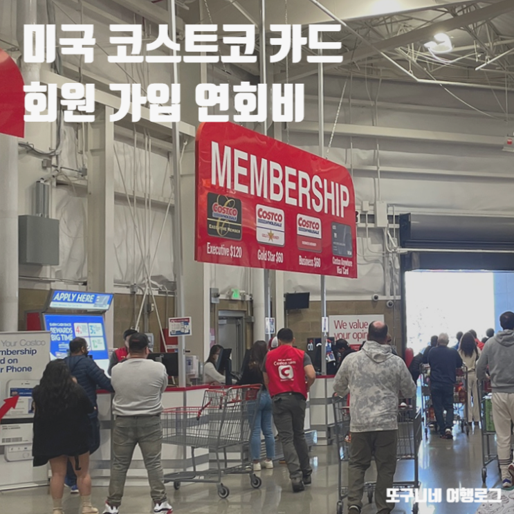  미국 코스트코 카드 회원 가입 연회비 이그제큐티브