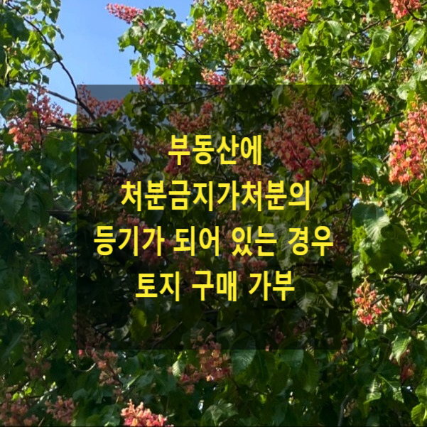  부동산에 처분금지가처분의 등기가 되어 있는 경우 토지 구매 가부
