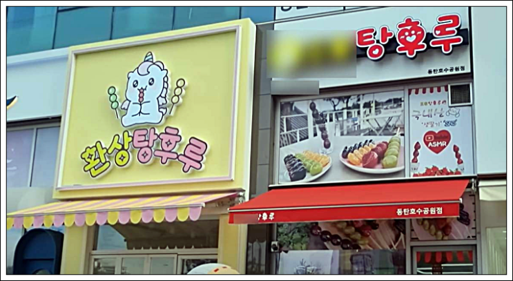 동탄 환상<b>탕후루 유튜버</b> 진자림 비난 쇄도