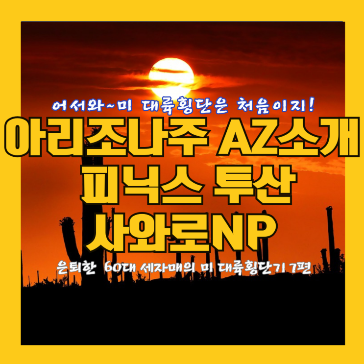  미대륙 횡단 애리조나주 피닉스 투산 세도나 사와로 국립공원 어서 와~대륙횡단은 처음이지  7편