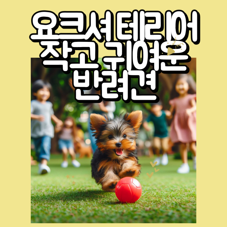  요크셔 테리어 출생의 비밀, 역사, 훈련, 식단, 분양시 고려해야 할 10가지 기준 알아보기