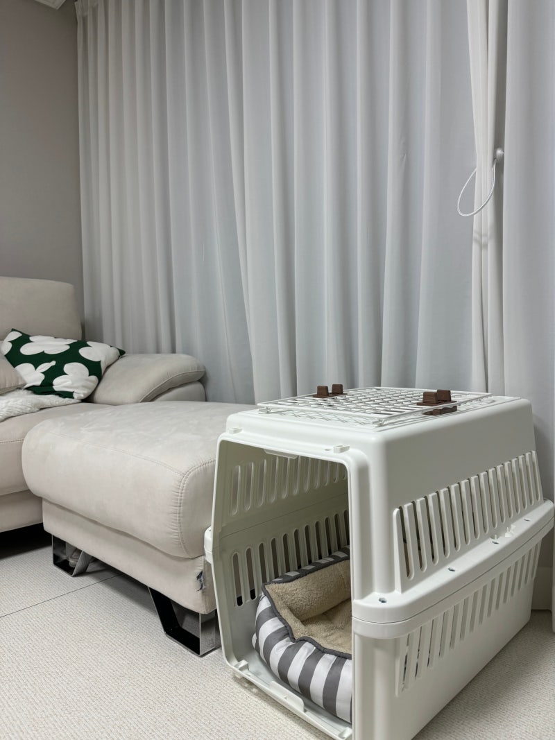 강아지켄넬 중대형견 이동가방 아이리스 캐리어 에어트래블