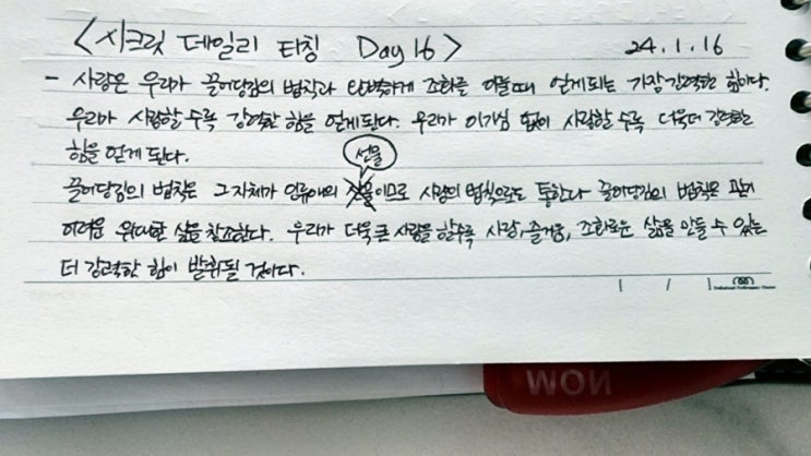  한 가지 기술 (엘리자베스 비숍) & 시.데.티 필사 day 16