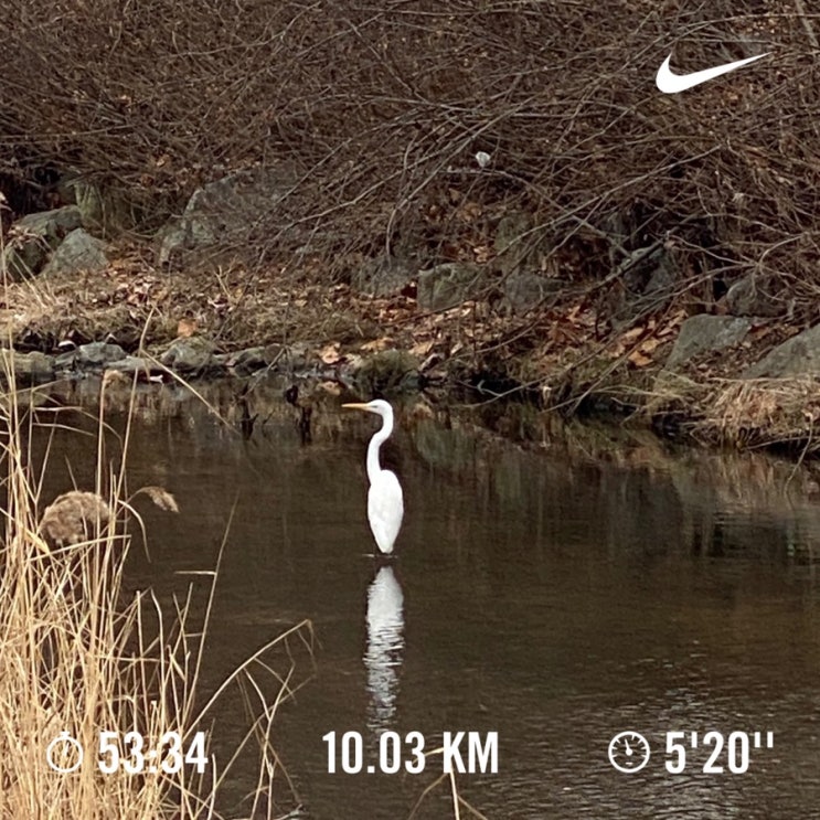  러닝로그_240117 부지런 10km