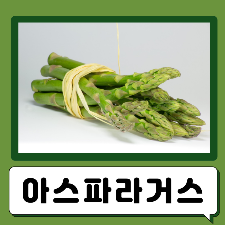  아스파라거스 효능 부작용 칼로리 먹는법 아스파라거스즙 아스파라긴산