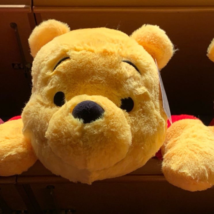  [Disney Sea/디즈니씨]도쿄에만 있는 디즈니씨 후기1(+가는방법, 어플, 예약, 티켓할인코드, 간식, 식당, 머리띠 etc)