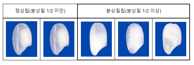 농식품부, ‘쌀 등급기준’ 강화 개정 고시 1월부터 시행 농식품부, ‘쌀 등급기준’ 강화 개정 고시 1월부터 시행