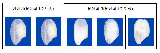 농식품부, ‘쌀 등급기준’ 강화 개정 고시 1월부터 시행