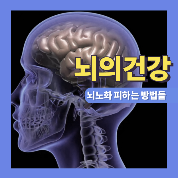  뇌 건강 위해 줄여야 되는 3가지와 해야 되는 3가지