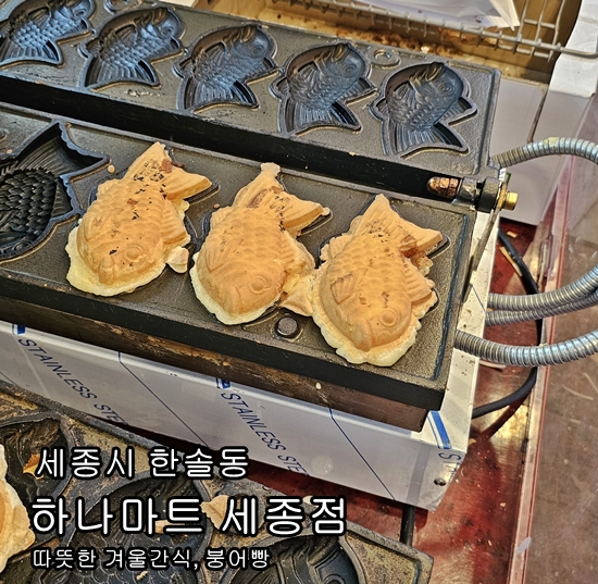 "세종 한솔동의 겨울 간식, 하나마트의 따뜻한 붕어빵 솔직 후기"