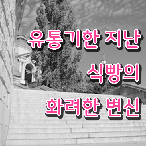  유통기한 넘긴 식빵 사용법 , 제가 알려드릴게요 ~