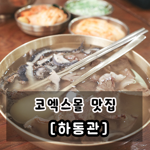  하동관 코엑스몰 곰탕 보통, 특 차이 한식 맛집 발견