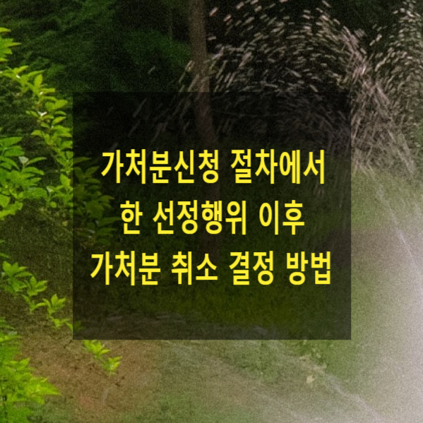  가처분신청 절차에서 하는 선정행위 이후 가처분 취소 결정 방법(가처분, 제소명령)
