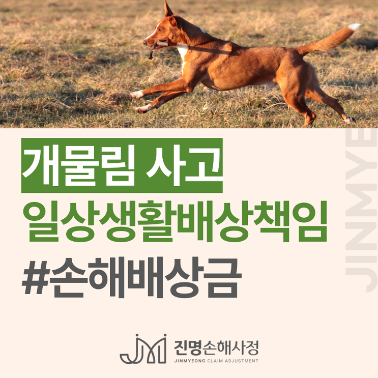  개물림사고 보상 일상생활배상책임보험 처리 방법