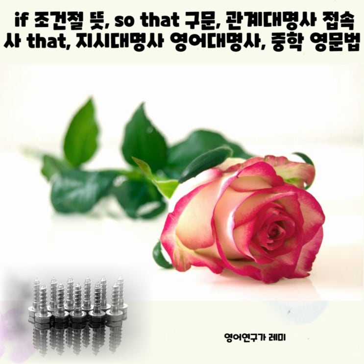 if 조건절 뜻, so that 구문, 관계대명사 접속사 that, 지시대명사 영어대명사, 중학 영문법 if 조건절 뜻, so that 구문, 관계대명사 접속사 that, 지시대명사 영어대명사, 중학 영문법