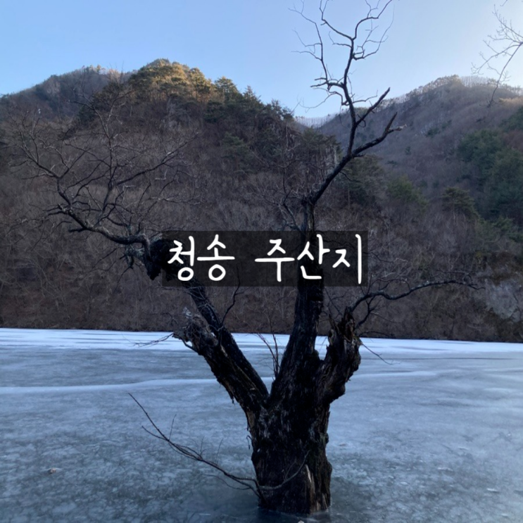 경북 청송 주산지 겨울 풍경 산책코스 주차장