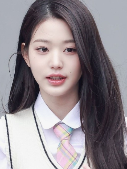 "<b>아이브</b> 장원영, <b>유튜브 채널</b> '사이버렉카'에 대한 1억 원... 