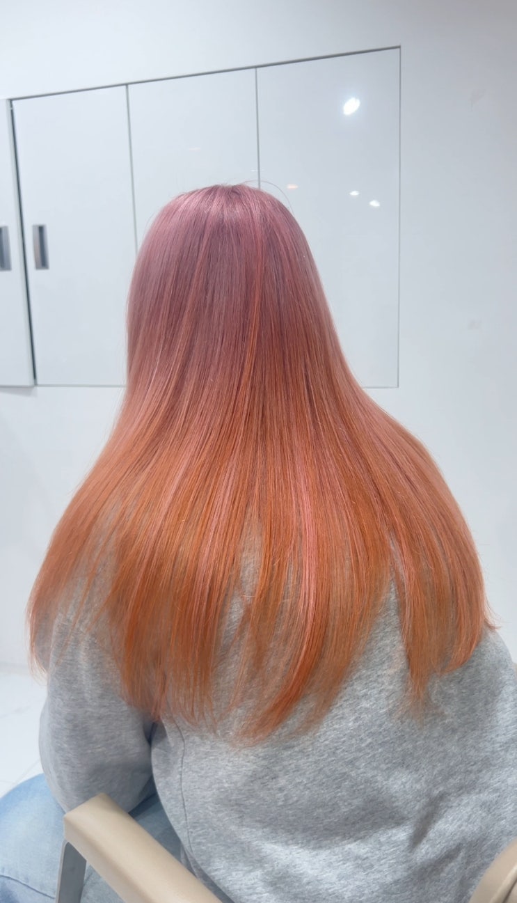  애쉬핑크 x 코랄오렌지 거란족염색 긴머리투톤 디자인 허그컷 잘하는 교대역미용실
