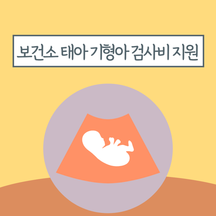 화성시 동탄보건소 태아 기형아 검사비 지원 신청 신청 방법 병원 서류 확인