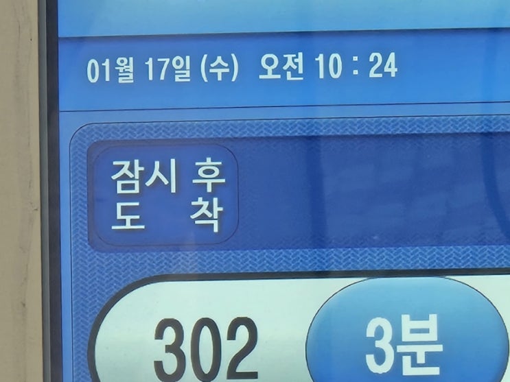  용용쨩 출근일상