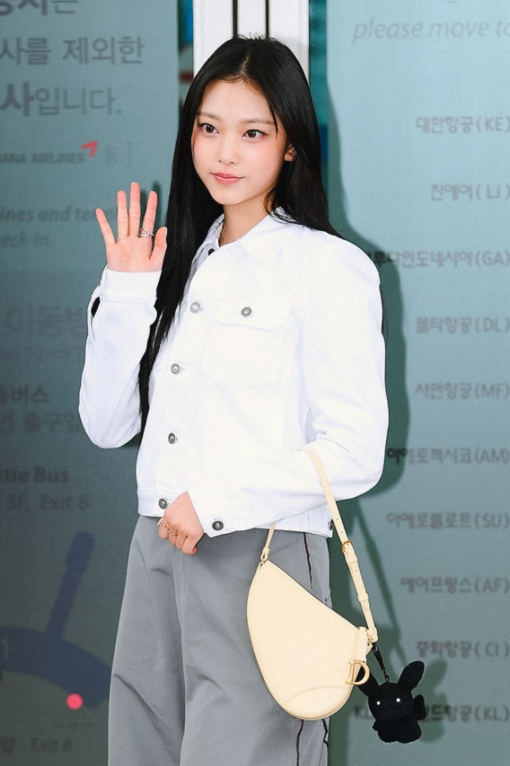  뉴진스 해린 공항패션 디올 가방, 새들 숄더 파우치