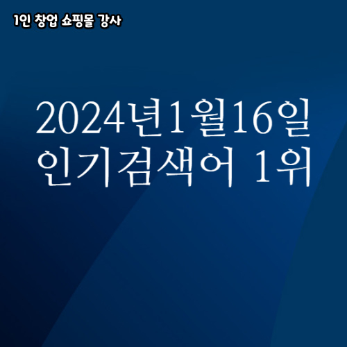  2024년 1월 16일 네이버쇼핑 분야별 인기 검색어 1위