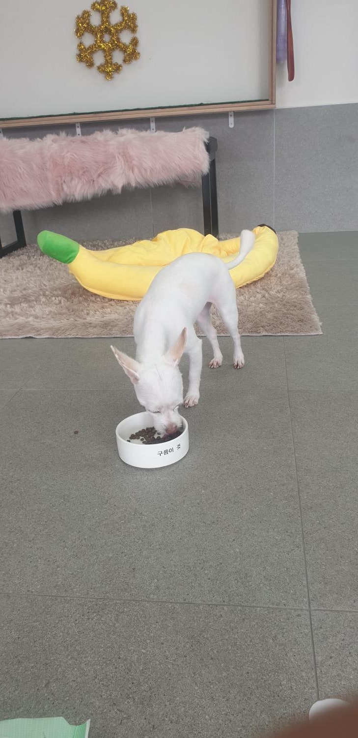 사진 8