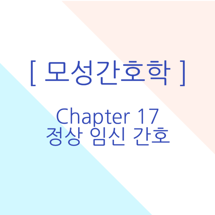  [모성간호학/국시대비] 정상 임신 간호 요약정리 pdf 무료공유
