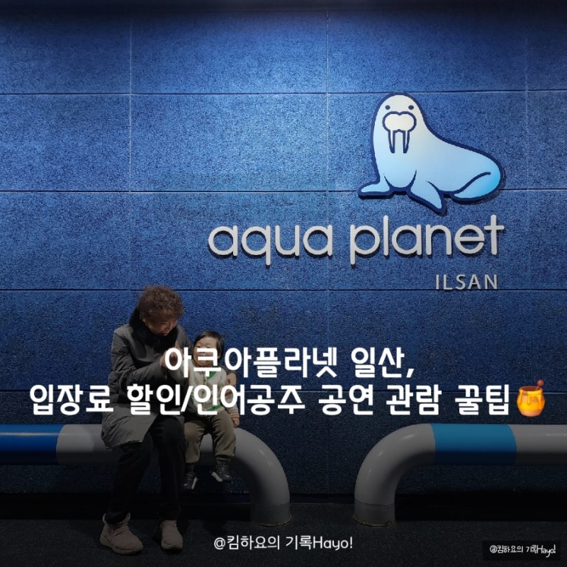 아쿠아플라넷 일산, 입장료 할인 및 인어공주 공연시간 : 아기랑 어르신 가기 좋아요!