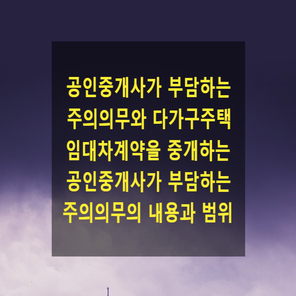  공인중개사가 부담하는 주의의무와 다가구주택 임대차계약을 중개하는 공인중개사가 부담하는 주의의무의 내용과 범위