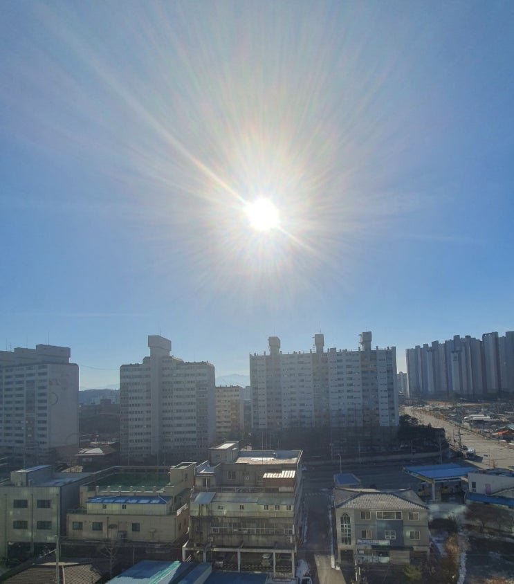 [공지] 악마들 또 헛발질 - <b>트럼프</b> 공화당 첫 <b>경선</b> 압도적으로 <b>승리</b>