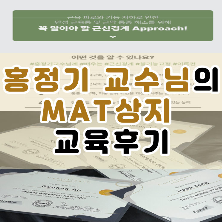  홍정기 교수님 MAT 상지 교육 후기 : Exsci r