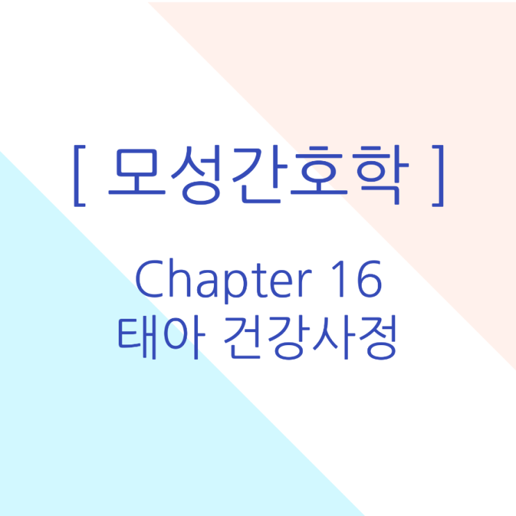  [모성간호학/국시대비] 태아 건강 사정 요약정리 pdf 무료공유