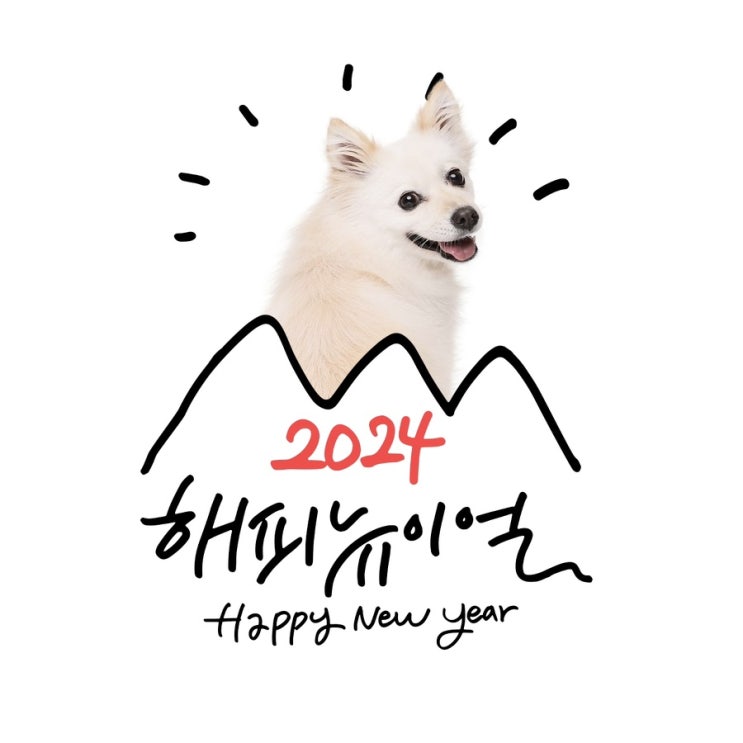  2024년 1월 일상기록(1)ㅣ 부산본가, 팬아트, 자동차방전, 쭈꾸미, 개 식용 종식 특별법