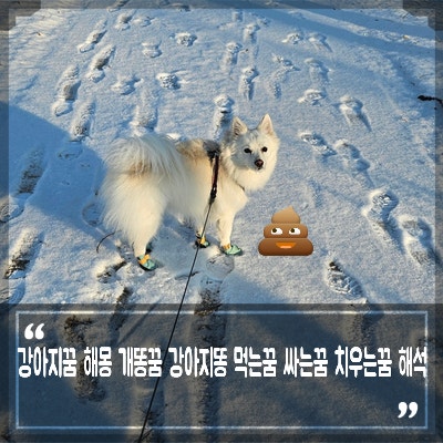 강아지꿈 해몽, 개똥 밟는 꿈 강아지똥 먹는꿈 싸는꿈 뜻 풀이