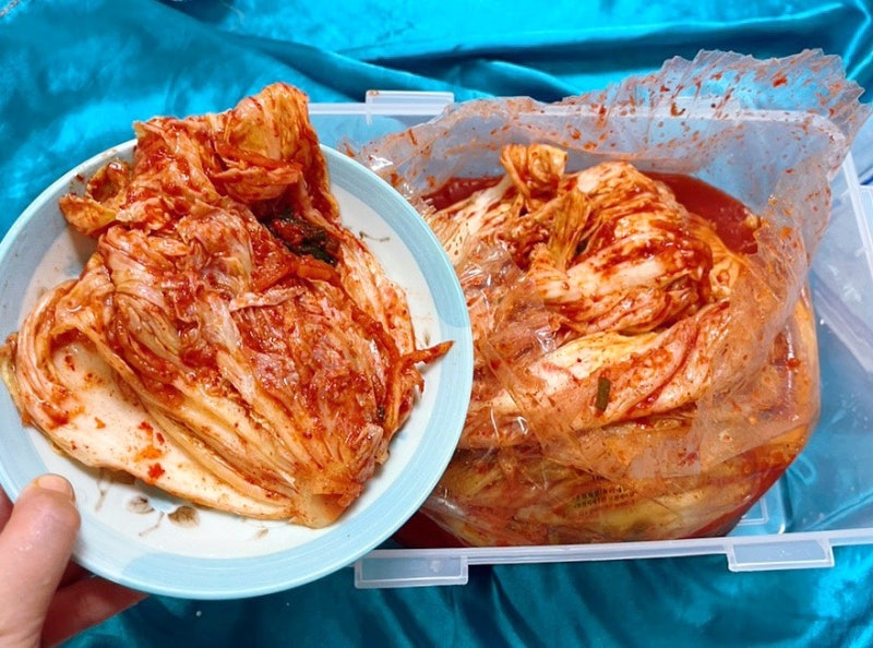 태백고냉지김치 / 태백골김치 배추김치 김장김치를 집으로 배송! [샬롬김치]