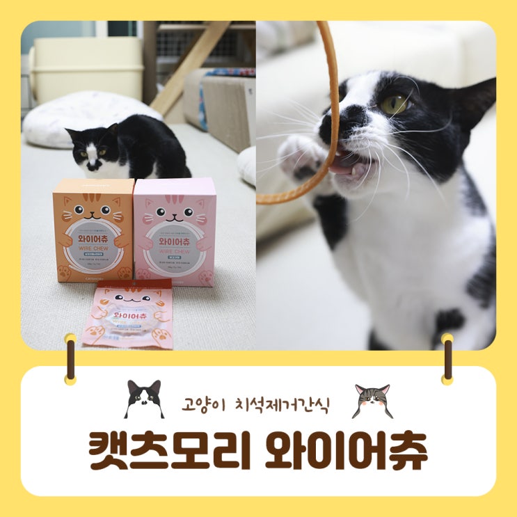  고양이치석제거간식 캣츠모리 와이어츄 기호성최강