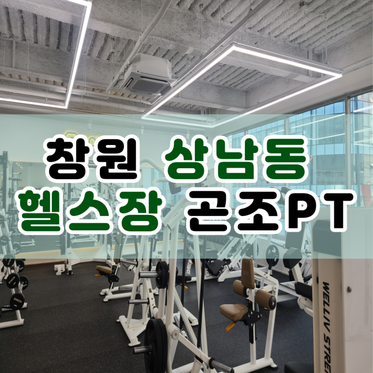  창원 상남동 헬스장 추천 : 곤조 PT 솔직후기