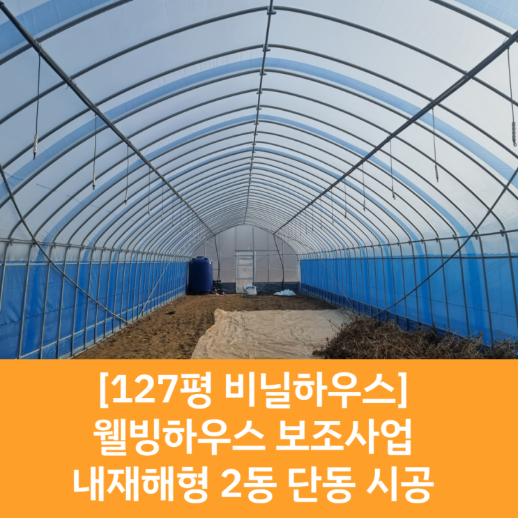  [보조사업 시공] 127평 비닐하우스 / 웰빙하우스 보조사업 / 내재해형 단동하우스 / 단동하우스 시공 / 2동하우스 시공 / 연동하우스 / 화성 비닐하우스 / 병점 비닐하우스