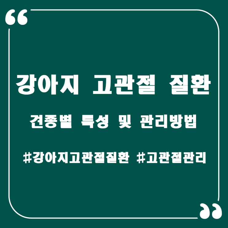  고관절 질환을 안고 사는 견종과 관리 방법.