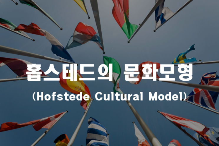  인적자원관리 '홉스테드의 문화모형' _ 기업진단지도