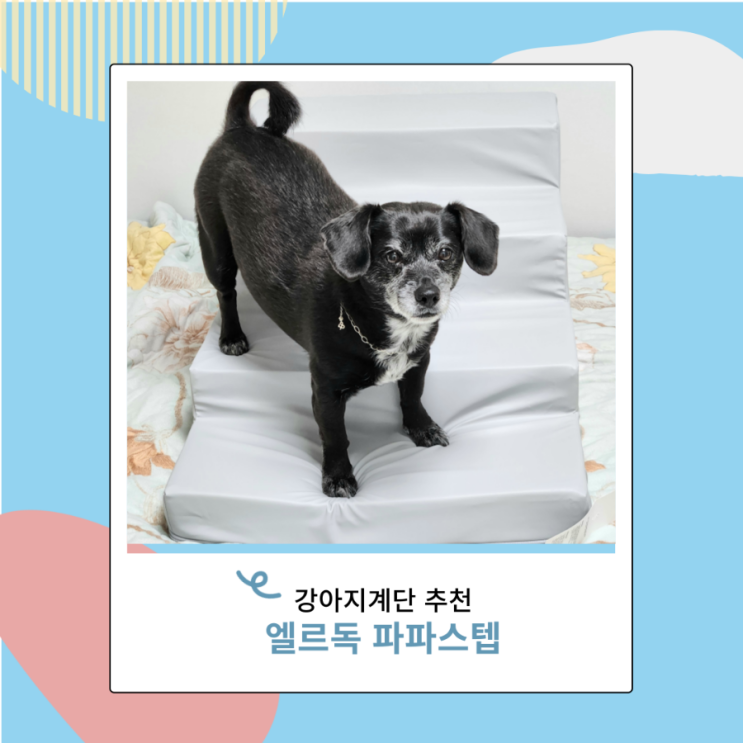 강아지 계단 엘르독 파파스텝 애견계단 추천 강아지 계단 엘르독 파파스텝 애견계단 추천