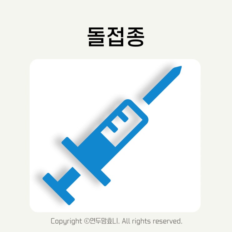 돌접종 순서 시기 종류 돌 예방접종 일본뇌염 생백신 사백신 접종열 돌접종 순서 시기 종류 돌 예방접종 일본뇌염 생백신 사백신 접종열