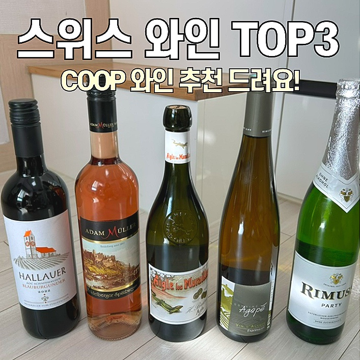  [스위스 와인 TOP3] COOP에서 꼭 사야할 와인 추천