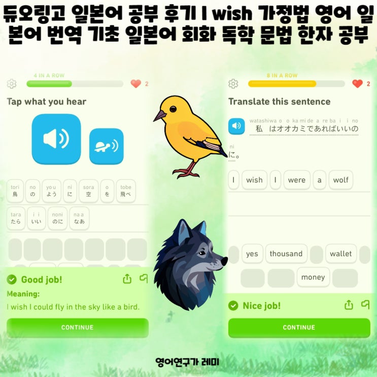 듀오링고 일본어 공부 후기 I wish 가정법 영어 일본어 번역 기초 일본어 회화 독학 문법 한자 공부