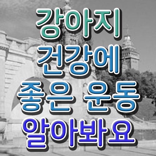  반려견운동지도사 자격증 1급 취업 확인하고 가세요 !!!