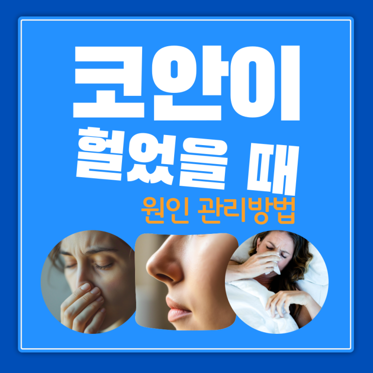  코안이 헐었을 때 원인과 관리방법