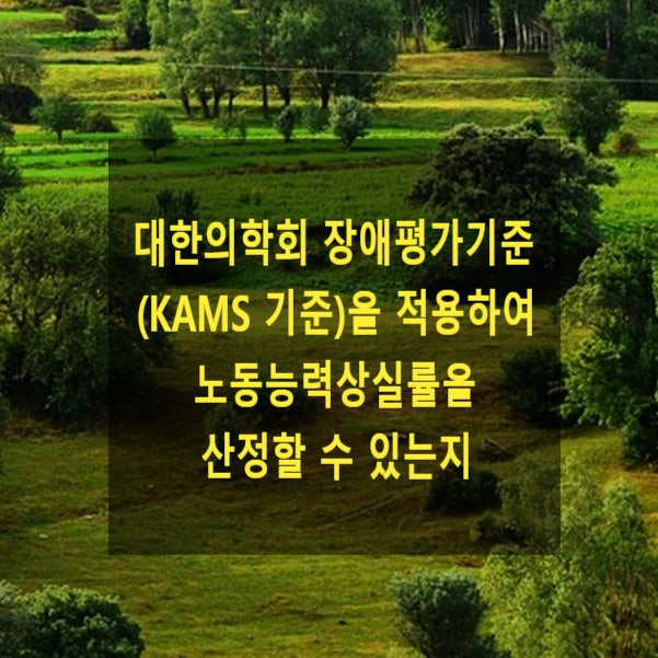  대한의학회 장애평가기준(KAMS 기준)을 적용하여 노동능력상실률을 산정할 수 있는지