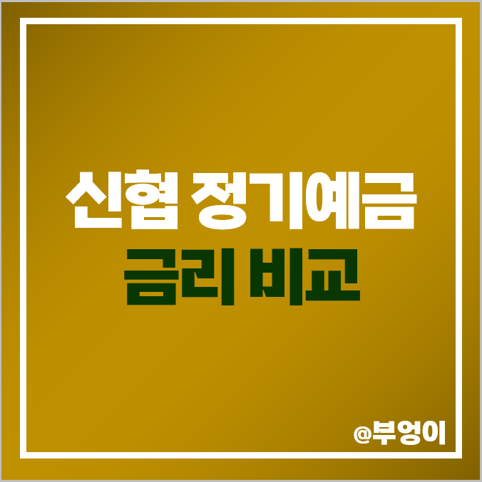 신협 정기예금 금리 비교 고금리 예금 특판 추천 신협 정기예금 금리 비교 고금리 예금 특판 추천